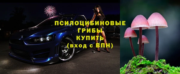 молекула духа Алексин