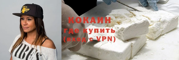 молекула духа Алексин
