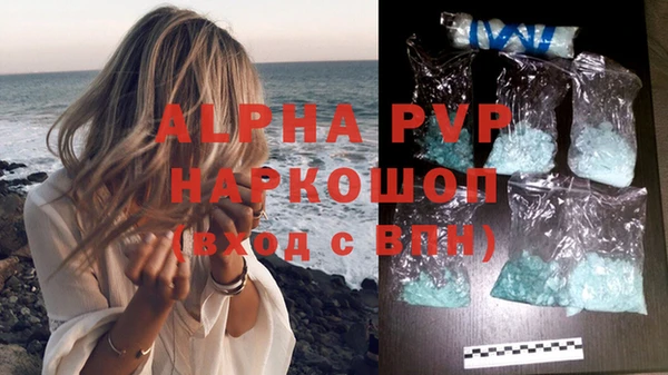 молекула духа Алексин