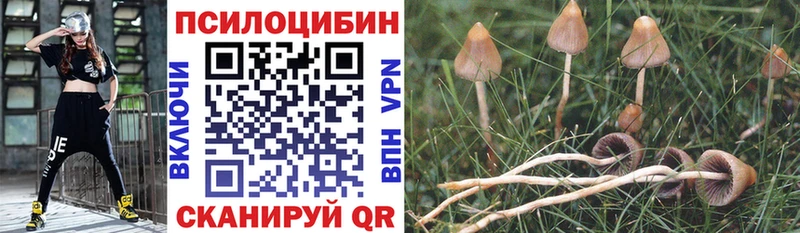 Псилоцибиновые грибы MAGIC MUSHROOMS Лесной